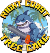 Right Coast Tree Care